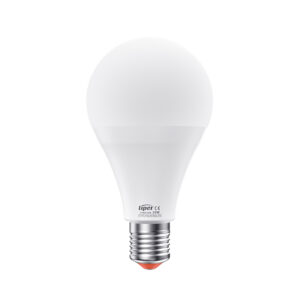 CS A Bulb