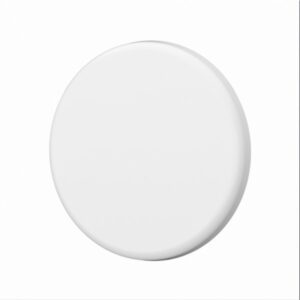 EN Recessed Adjustable Downlight