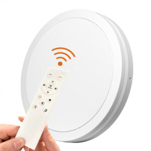 Remote Control Light