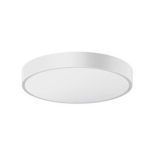 EMS Series downlight